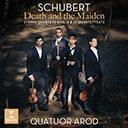 Schubert – Der Tod und das Mädchen Bild