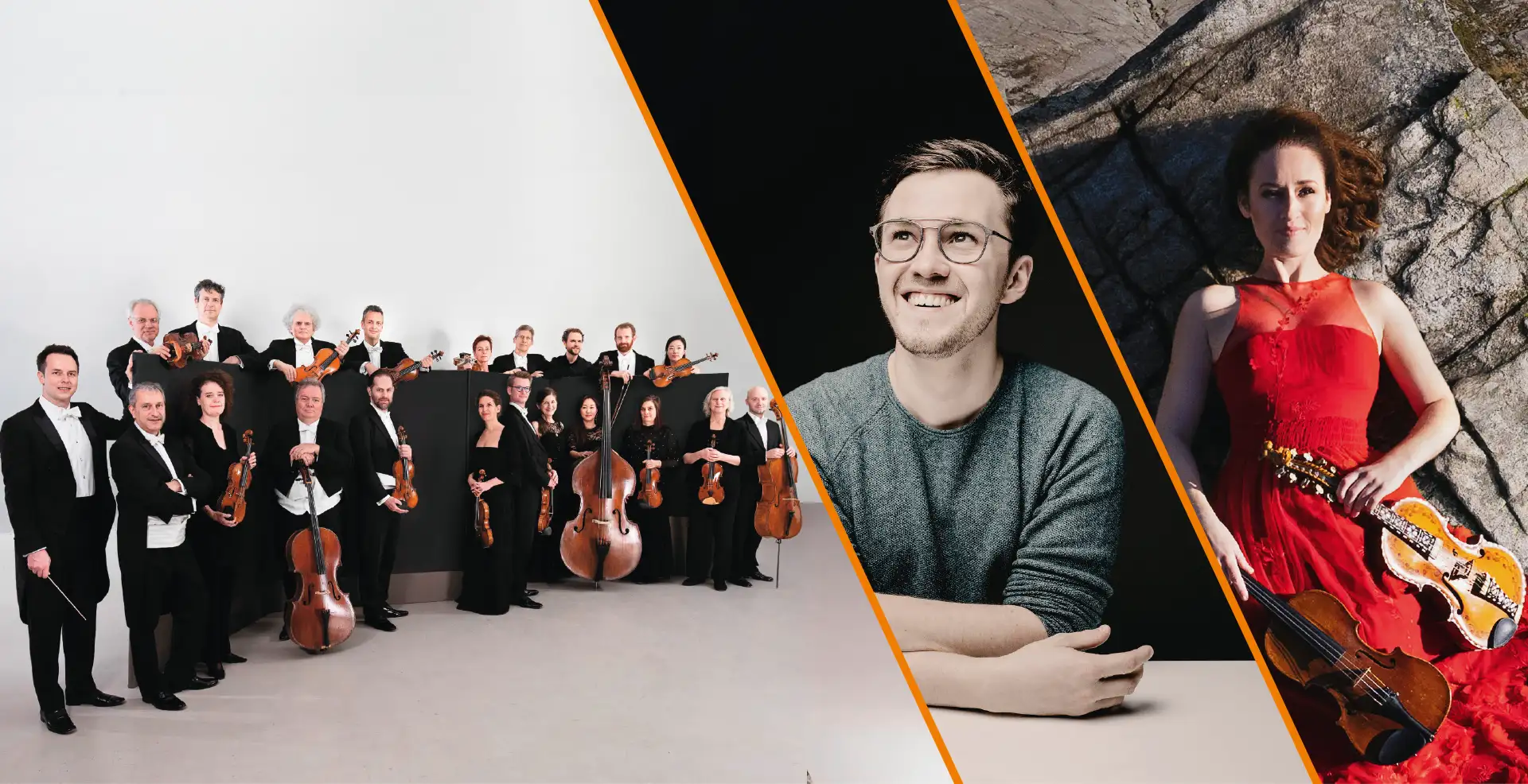 Alte Wurzeln, neue Wege Bild